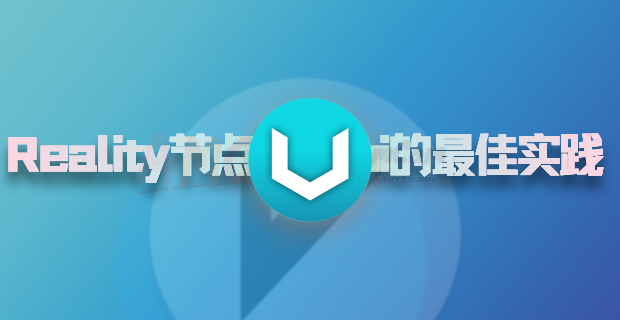 网络保驾护航：全面解析 Reality 节点与 X-ui 的最佳实践，Vless、Reality协议和Vision流控，让所有疑虑尽消！